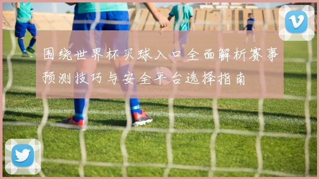 围绕世界杯买球入口全面解析赛事预测技巧与安全平台选择指南
