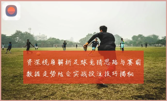 资深视角解析足球竞猜思路与赛前数据走势结合实战投注技巧揭秘