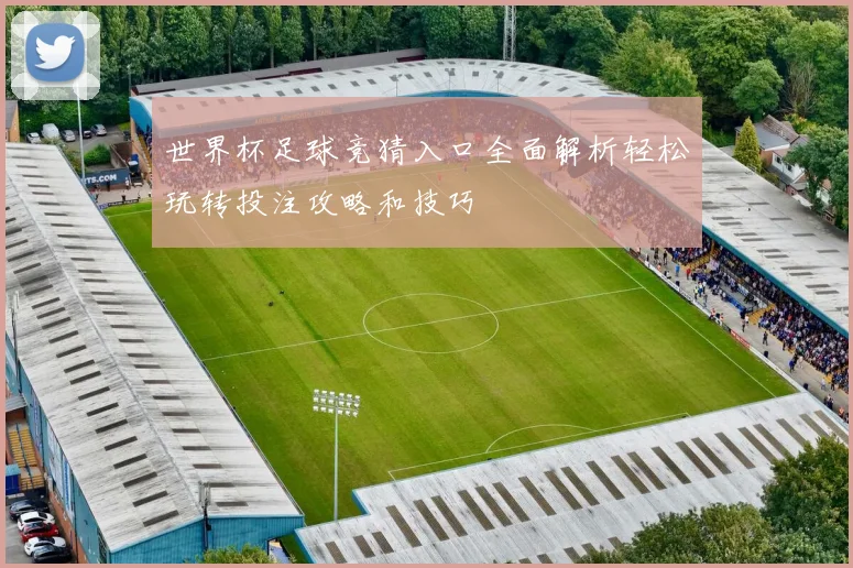 世界杯足球竞猜入口全面解析轻松玩转投注攻略和技巧